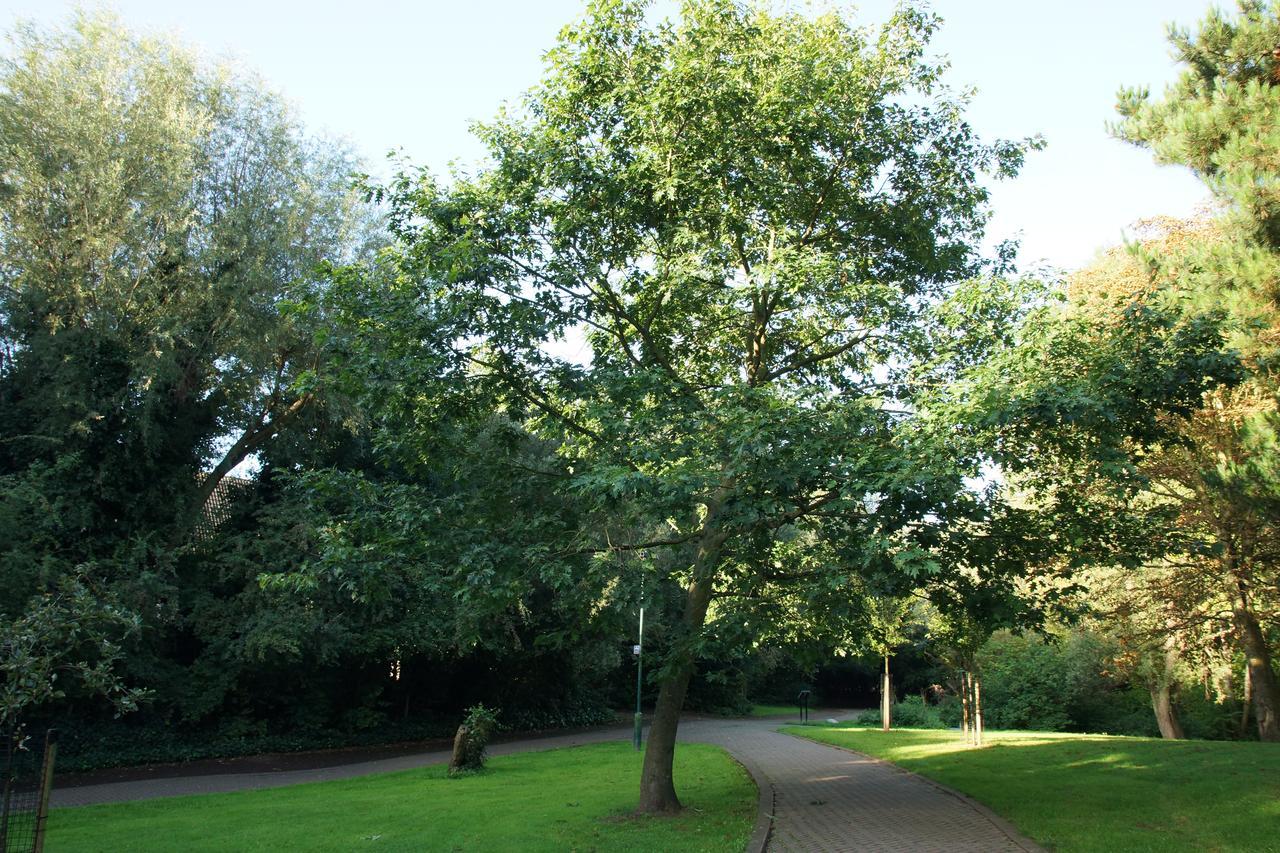 Boogaard's B&B Londen Buitenkant foto